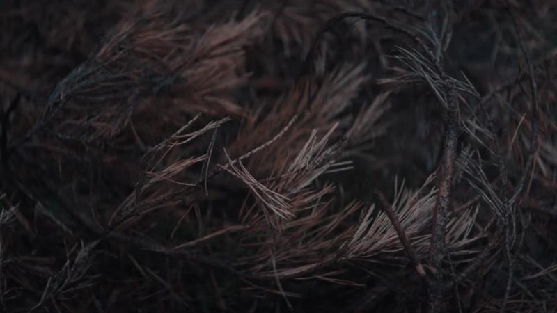Кадры из сериала Тьма (2017)